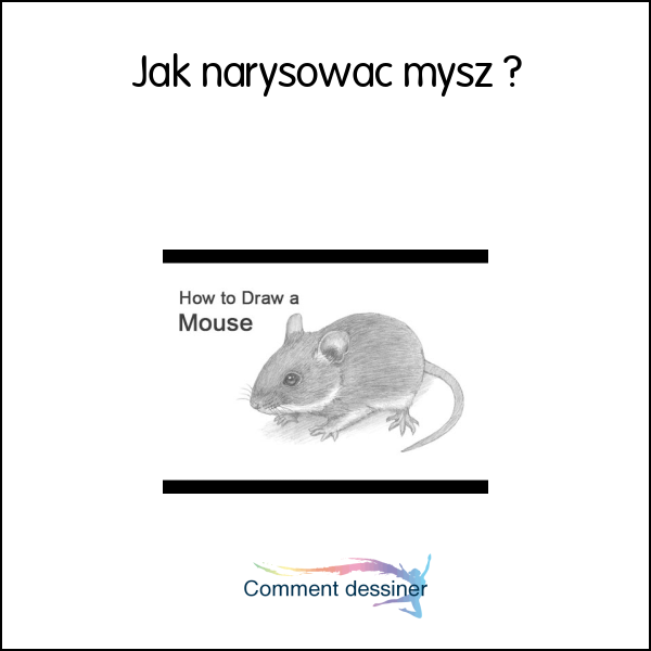 Jak narysować mysz